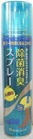 【お得まとめ買い6本セット【●送料無料●同梱不可】●靴・ブーツ用除菌消臭スプレー 160ml　6本●クリーンナビ足用デオドラントソープ1個付き