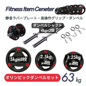 ■パーソナルジムに続々導入■ラバー ダンベル63KGセット(片手30kg×2個)筋トレ ダイエット器具 ベンチプレス トレーニング器具 ダンベル・アレー トレーニング ホームジム 筋トレ 径50mm専