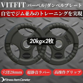 【VITFIT】家トレ特化 28mm対応 バーベル・ダンベルプレート 20kg×2枚セット ラバープレート 静音/防傷加工 ホームジム ベンチプレス スクワット 家トレ (ヴィットフィット)■現役トレーナー監修■