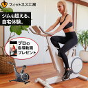 フィットネスバイク スピンバイク エアロバイク ジム品質 プロ向け トレーニング動画付き 静音 ダイエット 筋トレ 「モデルSP CorePlus」