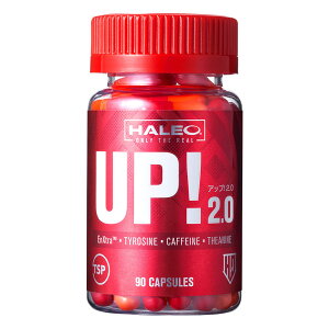 nI AbvI2.0i90JvZjGlM[`[W [HALEO]