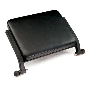 ENCOMPASS GRpXANZT[ X^fBOvbgtH[ Standing Platform yԕiEsz s