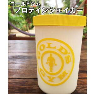 veCVFCJ[ j[cCXgLbv [GOLD'S GYM_G S[hWMA]