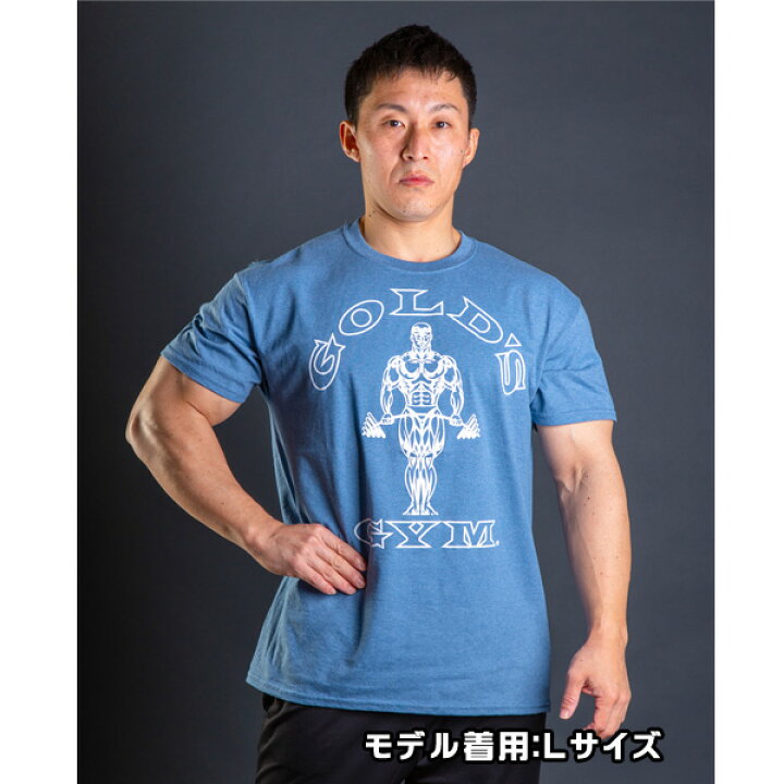 ダルクスポーツ ゴールドジム Tシャツ M ゴールドジム G2246 ゴールズ 