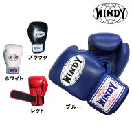 ◆格闘技キャンペーン◆ マジックテープ式トレーニンググローブ（12・14・16オンス） BGVH [WINDY ウィン…