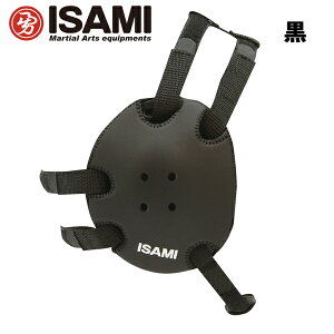 CT~ PUC[K[hiājy݉izwbhMA [ISAMI] [J[Es