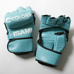 CT~ ClO[u COLORS [ISAMI] y󒍐Yi [J[iz{ X|[cZ tBWJK iZ {NVO~bg W g[jO ی h [J[Es