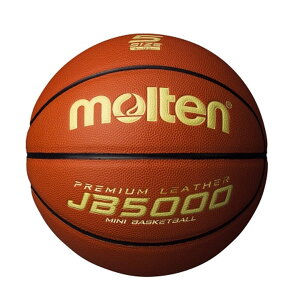 �����e�� JB5000�y�y��5�� ���w���r�M�i�[�p�z [molten] �o�X�P�b�g�{�[�� �o�X�P �~�j�o�X