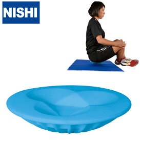 【2026年2月上旬頃入荷予定】ニシスポーツ ケアディスク [NISHIスポーツ] ストレッチ 開脚