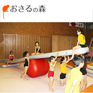 GAoX {݌ y󒍐Yi ԕiEsiz(50cm×300cm×10cmj s [̐X]