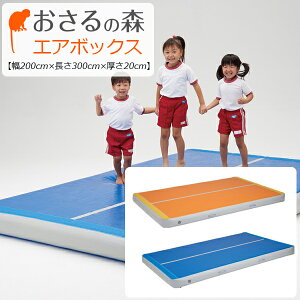 GA{bNX GA}bg {݌ y󒍐Yi ԕiEsiz(200cm×300cm×20cmj s [̐X]