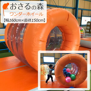 _[zC[ y󒍐Yi ԕiEsiz(160cm×a150cmj s [̐X]