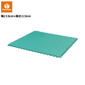 Zm[ ZmbNtA[ NbVށi113×113×1.5cmj()s [Senoh] WCg}bg