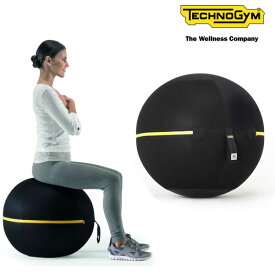 テクノジム アクティブシッティング バランスボールチェア（55cm）WELLNESS BALL【メーカー直送品】 [Technogym] フィットネスインテリア