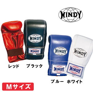 iZLy[ p`OO[u ewJbg^CvilpMTCYj[WINDY EBfB] {NVOO[u {NTTCY  Ō