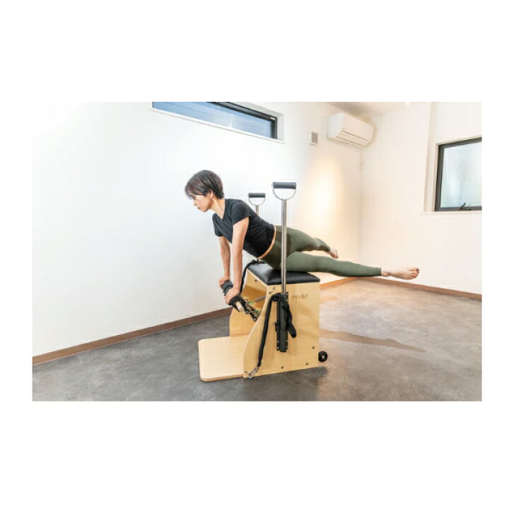 楽天市場】PIVOT ザオバ コンボチェアー ウッド (業務用マシン)【送料 