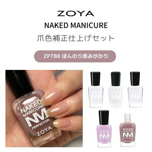 yzZOYA lCLbh ܐF␳dグZbg܋ ⋭ i J[ c c ZOYA ][ lCLbhx[X J[p[tFN^[ TeV[ ObV[V[ 