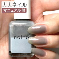 【送料無料】【スタッフおすすめ】noiro ノイロ ネイルカラー S021 icy wind 11ml グレー 春ネイル マニ…