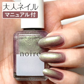 【送料無料】noiro ノイロ ネイルカラー S022 aurora drape 11ml 偏光 パール 春ネイル マニキュア 爪に優しい オーロラ パープル 冬ネイル 秋ネイル 偏光パール 紫