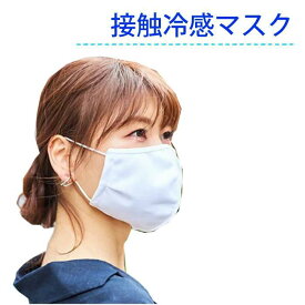 抗菌 マスク 2枚入 シンプル 白 繰り返し 洗濯 大人用 男性用 女性用 男女兼用 1000円ポッキリ