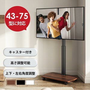 Ԍ5{|CgyzerX^h er 43V`75VΉ LX^[t  ㉺Epx\ ړ ؖڒ  ubN  zCg uE FTC1604AWD