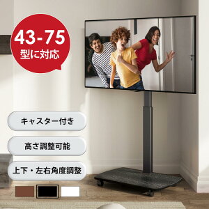 Ԍ5{|CgyzerX^h er 43V`75VΉ LX^[t  ㉺Epx\ ړ ؖڒ  ubN  zCg uE FTC1604AWD