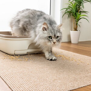 zL̃gC~}bg@gC}bg  AjAL юUh~