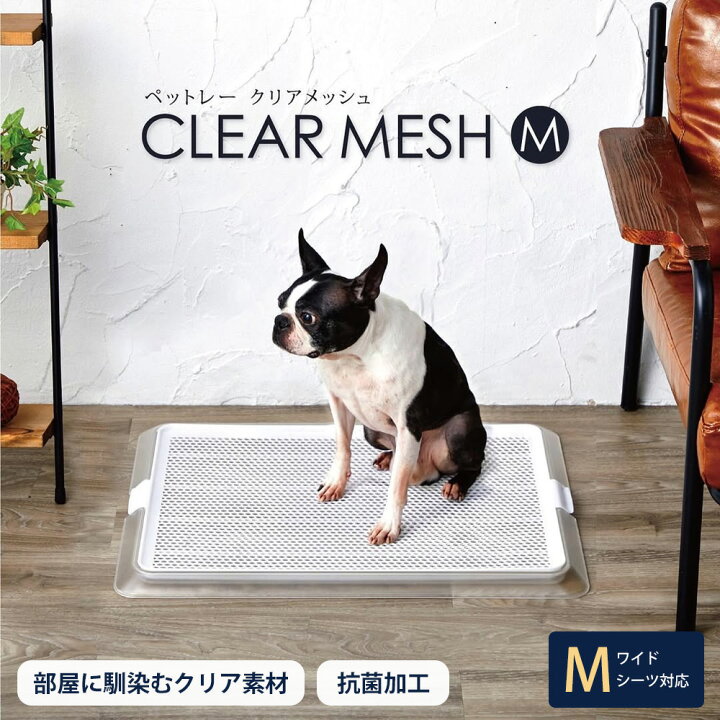 楽天市場 犬用 トイレトレー ペットレー クリアメッシュ Mサイズ 透明 メッシュ ペットトレー シンプル おしゃれ 小型犬 中型犬 子犬 シニア 高齢 犬 ボンビアルコン ワイドサイズシーツ対応 ペットガーデン紀三井寺