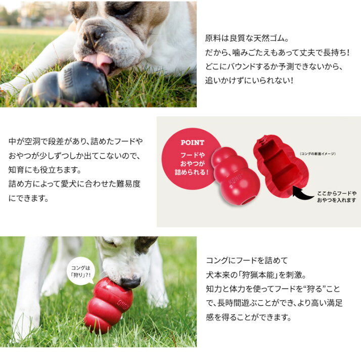 楽天市場 Kong コング 中型犬用 M 子犬後期 成犬用 しつけ 噛む ストレス解消 知育トイ おもちゃ 天然ゴム製 アメリカ製 ペットガーデン紀三井寺