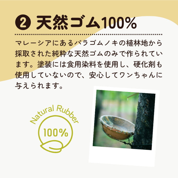楽天市場】犬用 おもちゃ サンジョルディ たまごちゃん S 1個 超小型  
