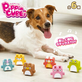 犬用 おもちゃ ポッピンキューブズ 1個 可愛い 笛入り 四角 小型犬 超小型犬 仔犬 ボンビアルコン