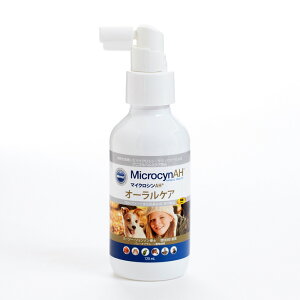 }CNVAH I[PA 120ml ybgp  L    L  C f^PA Xv[^Cv I[ybg tFbg nX^[ ঒