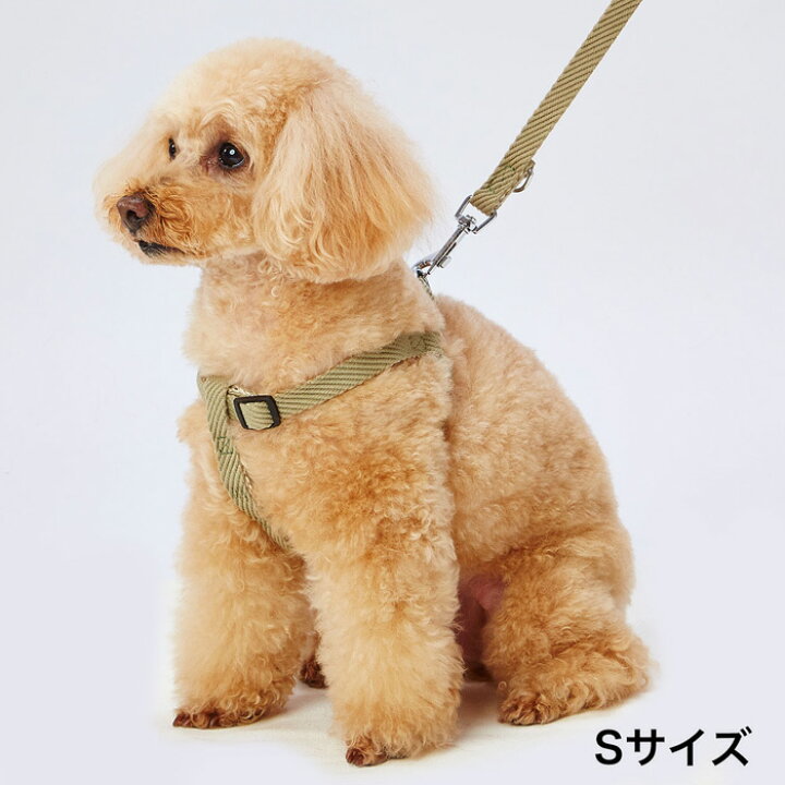 楽天市場 アドメイト 犬用胴輪 ソフトスキップハーネス M グリーン 柴犬 ビーグル等 中型犬用 犬具 かわいい シンプル やさしい Add Mate ペットガーデン紀三井寺