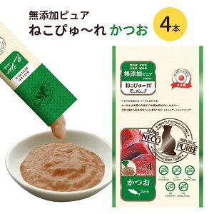 Lp  ˂҂` YsA  4{ Y {Y t EFbgt[h PureValue5 o[hR[|[Vy[։ 1ʂɂ6_܂Łz