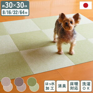 z oAt[^C}bg 30×30cm 2Fg  L  ~ ͂ wjA ֐ t[O L h h~ g[Ή tA}bg  ~ ʔN I[V[Y Y 