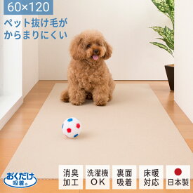 おくだけ吸着 おそうじラクラクマット 60×120cm ベージュ 1枚 2枚 ペット 犬 猫 抜け毛 床暖房OK 裏面吸着 滑りにくい 洗える 洗濯 シート 日本製