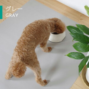 񒣂hV[g RtBE}`V[g MTCY 80cm×115cm@{ h h ybg p Lp ^ ^ ^  V VL  z }bg V[g  { Y n 