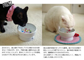 猫壱ハッピーダイニング脚付ウォーターボウルキャンディ【猫用/お皿/食器/水飲み/可愛い/おしゃれ/磁器製】【電子レンジ/食洗機対応】
