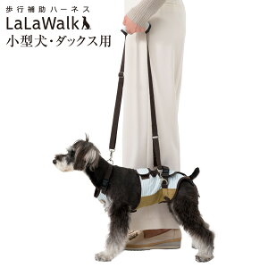 yEszs⏕n[lX LaLaWalk ^E_bNXp T}[XgCv  U 둫 VjA pi EH[N 2TB0024-45y[J[E㕥sELZ