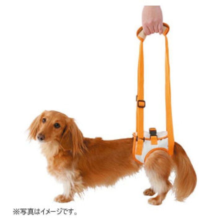 楽天市場 ペティオ Zuttone 老犬介護用 歩行補助ハーネス 後足用 ｍ 7kgまでの小型犬用 ペット用介護用品 ペットガーデン紀三井寺