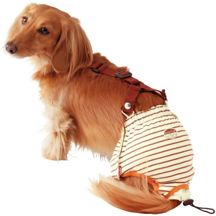 楽天市場 ペティオ Zuttone 老犬介護用 おむつパンツ M 7kgまでの小型犬用 オス メス兼用 ペット用介護用品 ペットガーデン紀三井寺