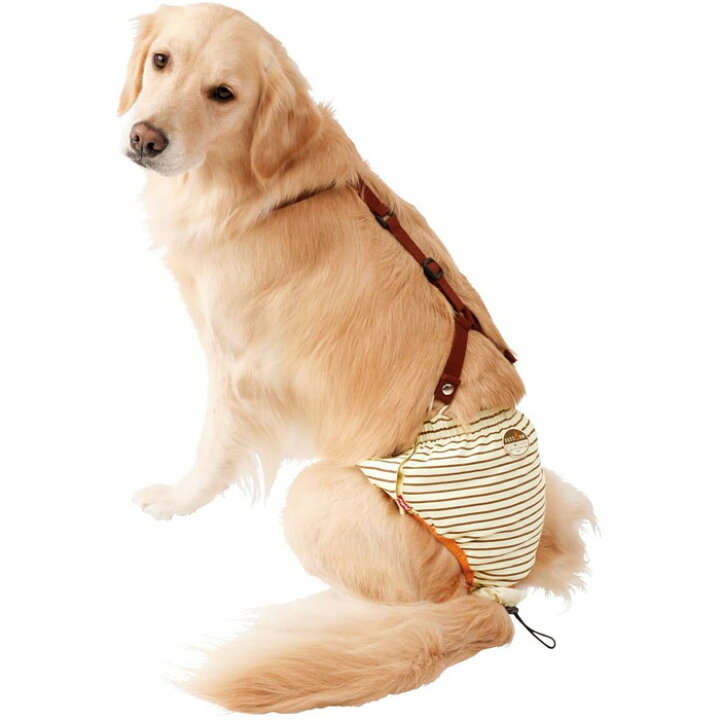 楽天市場 ペティオ Zuttone 老犬介護用 おむつパンツ ３ｌ 30kgまでの大型犬用 オス メス兼用 ペット用介護用品 ペットガーデン紀三井寺