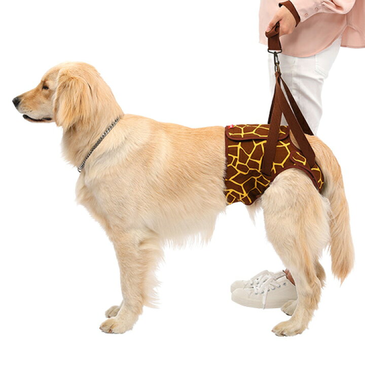 楽天市場 送料無料 同梱不可 歩行補助ハーネス Lalawalk Hip 大型犬用 Kirin 茶 黄 高齢犬 散歩 後ろ足 シニア犬 介護用品 ララウォークヒップ メーカー直送 後払い不可 キャンセル不可 返品交換不可 ペットガーデン紀三井寺