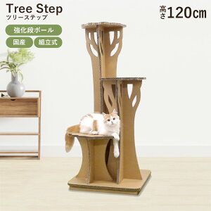 y[J[zLbg^[ c[Xebv 120cm g  Vv _{[ Y { L ˂ ^s CeA u TCN