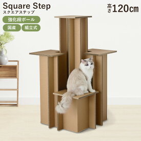 【メーカー直送】キャットタワー スクエアステップ 高さ120cm 組立式 おしゃれ シンプル 強化ダンボール 国産 日本製 猫 ねこ 運動不足解消 インテリア 据え置き リサイクル