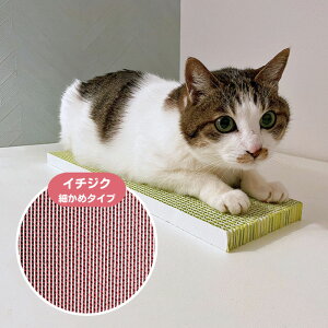 Lp  ߂Ƃ lRgM ׂ߃^Cv C`WN v  i{[ _{[ ƌq ܂Ƃ { Y sJR[|CV