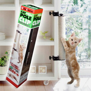 Lbg킭킭|[ Nbv400 Ƌt^Cv Lp ܂Ƃ|[ ꊪ   XgXU Aj[R[X