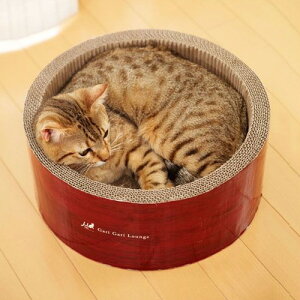 ~[ KKT[N XNb`[ ܂ѕt@Lp߂Ƃ ʏTCY i{[ ۂ ی^ ܂Ƃ EW GCNGCc