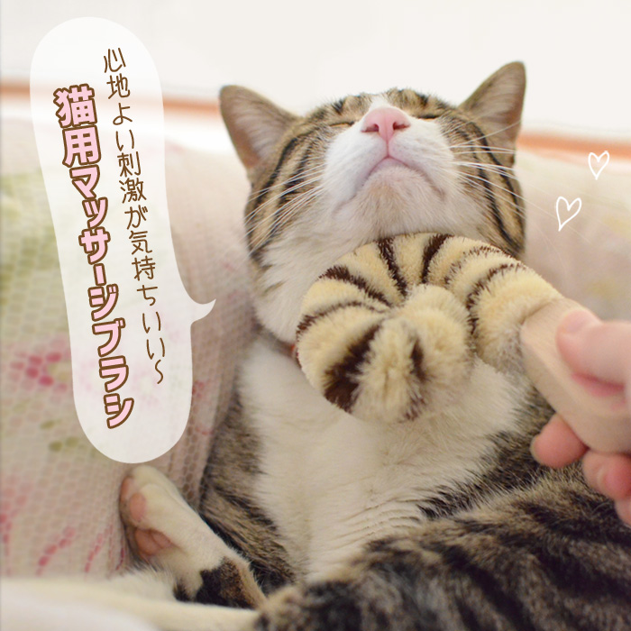楽天市場】ドギーマン 猫用ブラシ グルグルにゃわしっぽ 全猫用