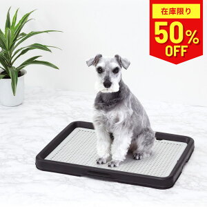 y50OFF݌Ɍz AhCg g[ ubN Ch bV  V[cj  h~ pi Add.Mate